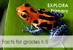 Explora primary - facts for grades k-5
