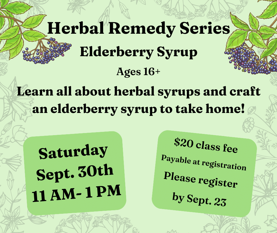 Make your own elderberry syrup class
