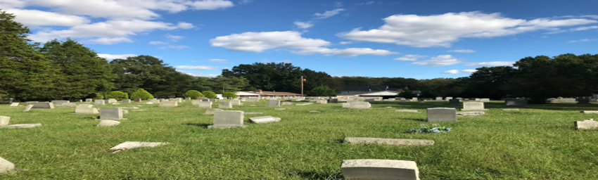 Cemetery with Headstones